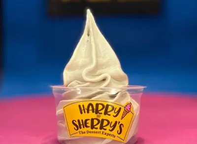 Plain Ice Cream Cup