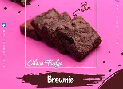 Choco Fudge Brownie